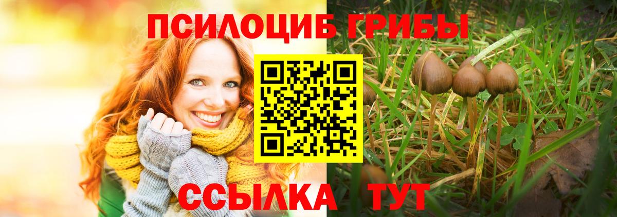 Галлюциногенные грибы Magic Shrooms Тельмана